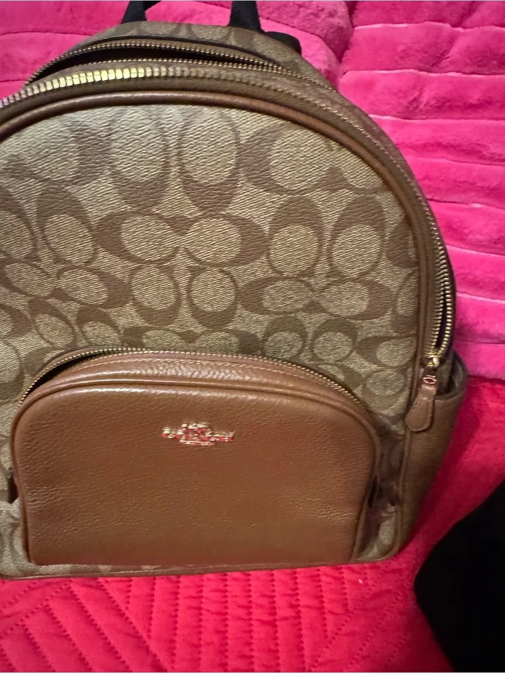Coach Brown Interior Tote with Leather Patch